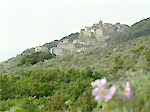 Giglio Castello