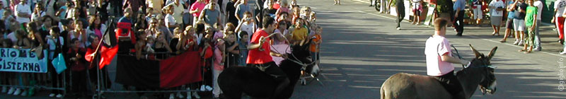 Eselsrennen in Giglio Castello